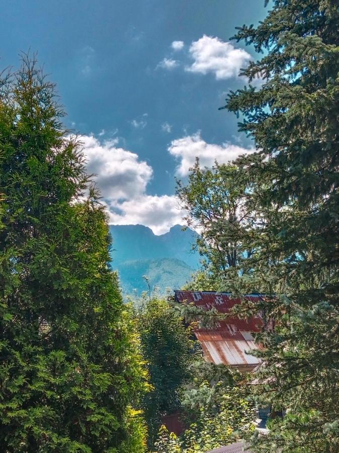 Wynajem Pokoi Goscinnych Zakopane Exterior photo