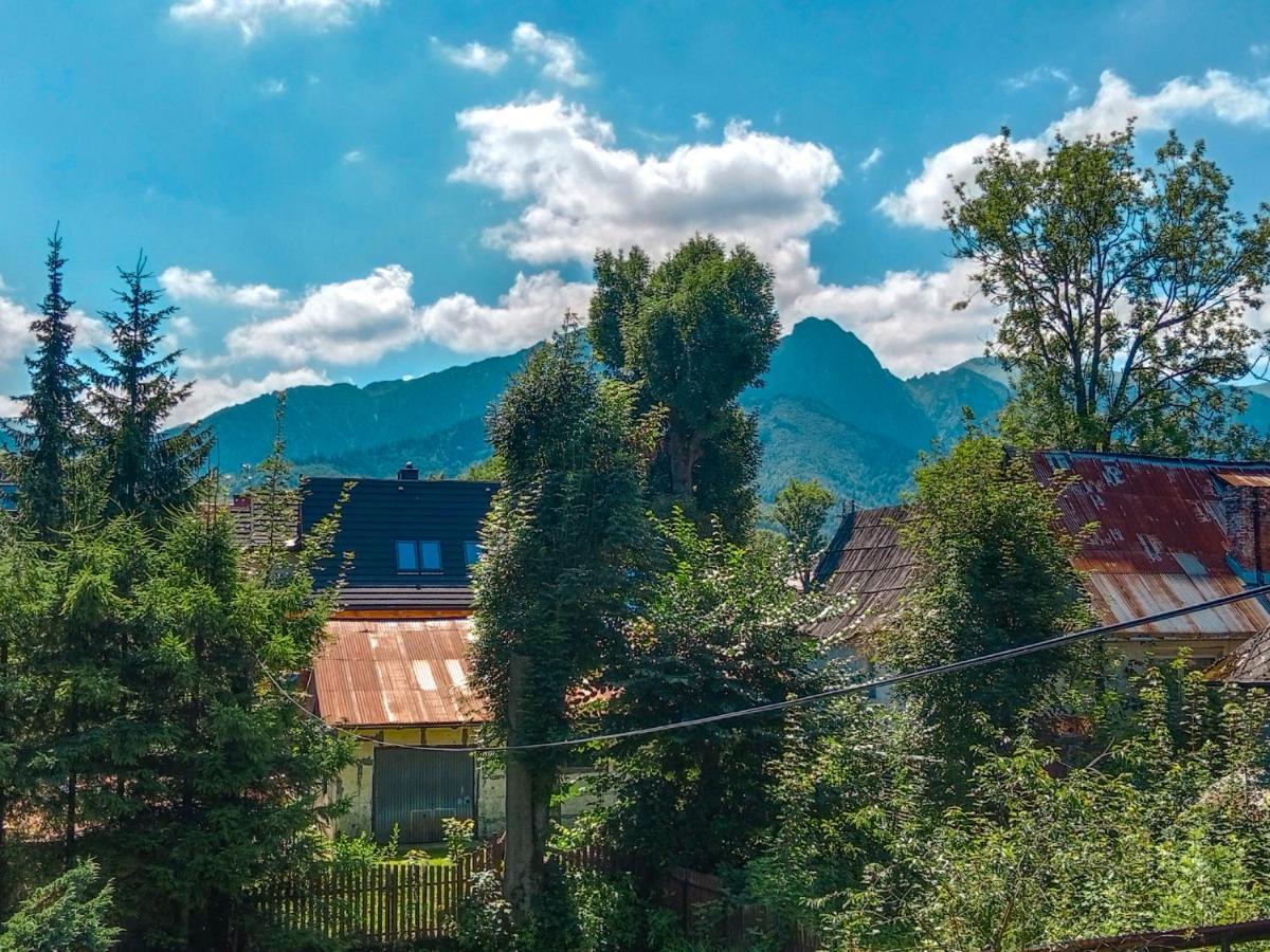 Wynajem Pokoi Goscinnych Zakopane Exterior photo