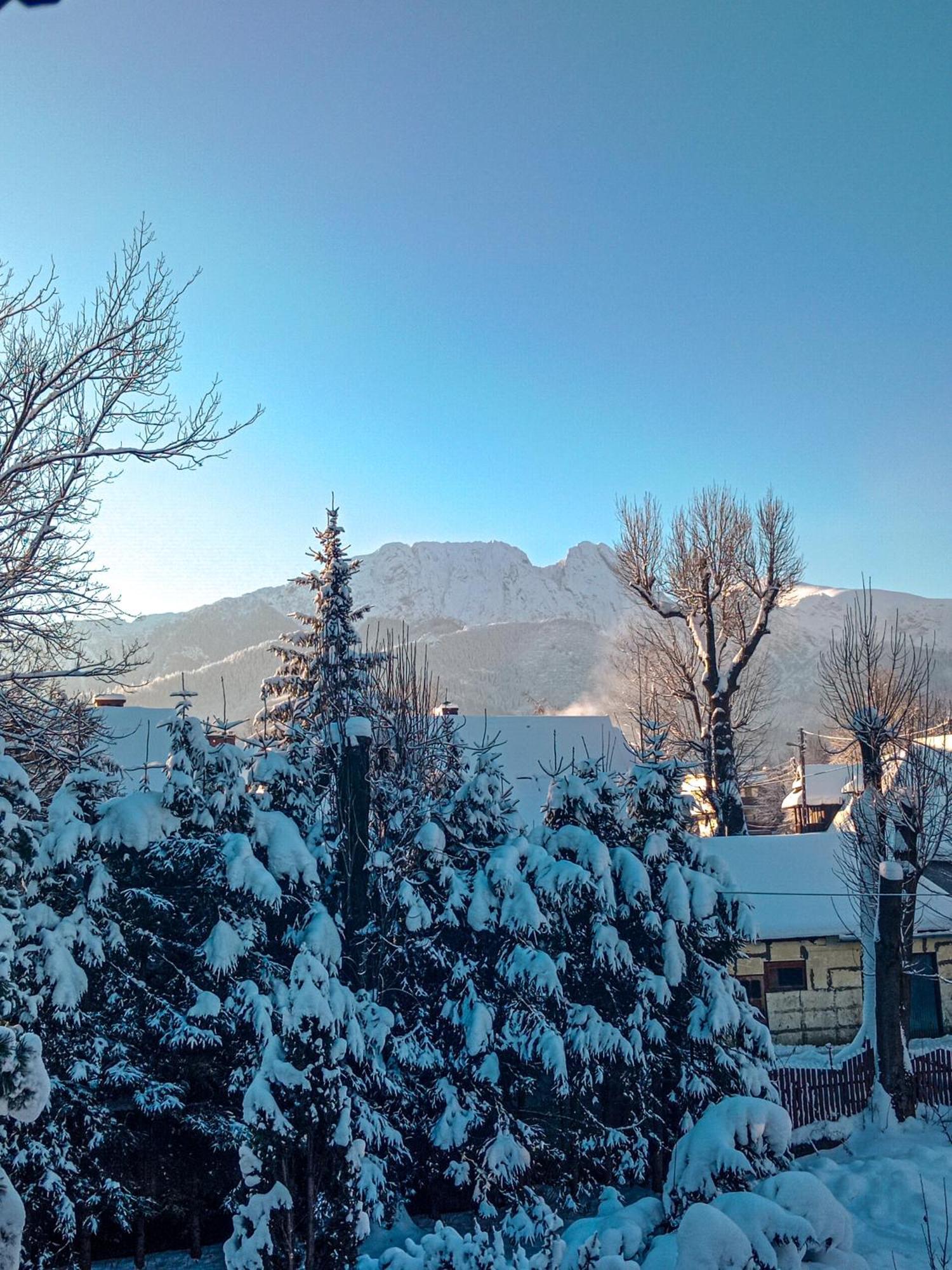 Wynajem Pokoi Goscinnych Zakopane Exterior photo